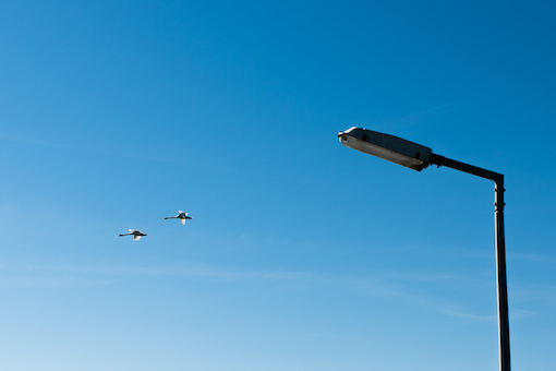 March by the Seaside